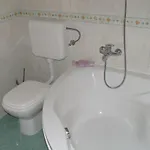 With Jungle Bathroom Apartmán