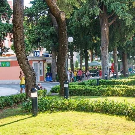 Daire With Jungle Bathroom *