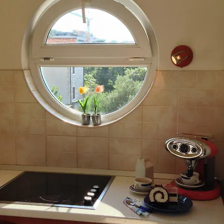 With Jungle Bathroom Apartment *