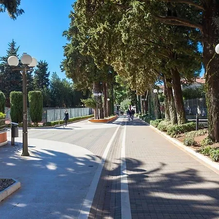 With Jungle Bathroom Daire