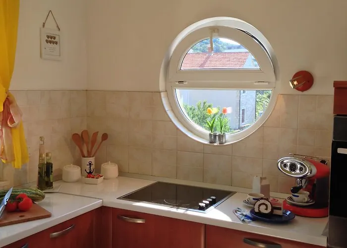 With Jungle Bathroom Apartament