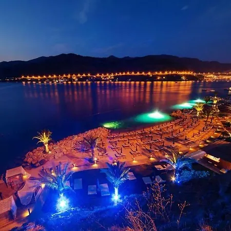 With Jungle Bathroom Apartman